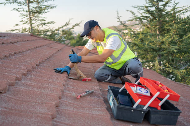 Steel Roofing